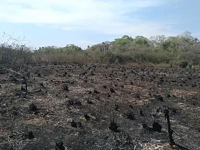 Bombeiros se deslocam para combater incêndio em Porto Murtinho