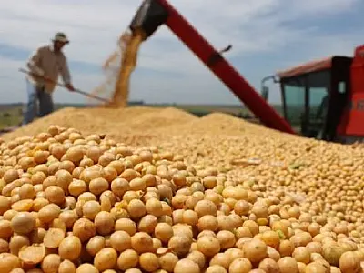 MS deve produzir 14,6 milhões de toneladas de soja; 11,4% a mais que na safra passada