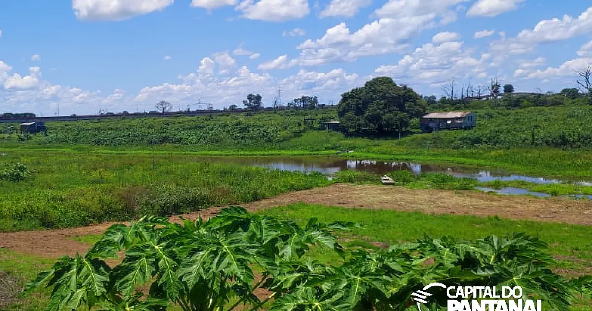 Ribeirinhos cobram desobstrução do Corixo Gonçalinho
