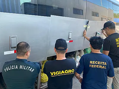 Ação conjunta apreende 4 toneladas de mercadorias em Corumbá