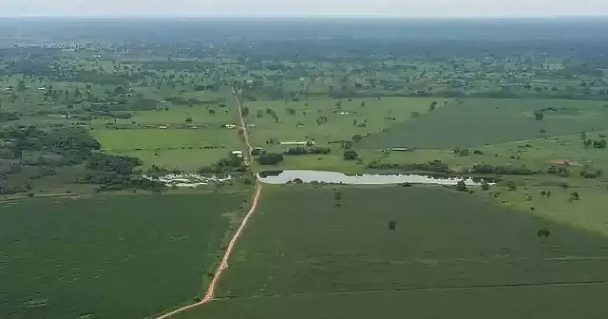 Governo dá mais 180 dias de prazo para regularizar fazendas no Pantanal