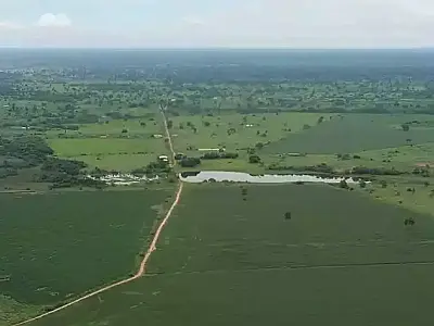 Governo dá mais 180 dias de prazo para regularizar fazendas no Pantanal