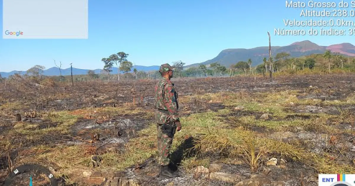 Em 37 anos, pasto quadruplicou no Pantanal e superfície de água reduziu 6 vezes