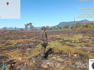 Em 37 anos, pasto quadruplicou no Pantanal e superfície de água reduziu 6 vezes