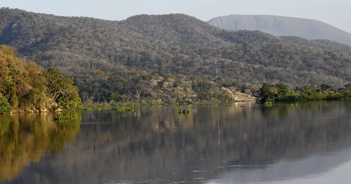 Projeto com certificação de crédito de carbono no Pantanal segue política estadual