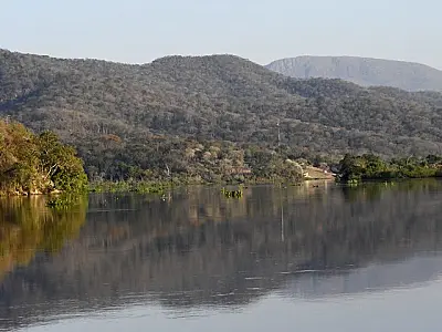 Projeto com certificação de crédito de carbono no Pantanal segue política estadual