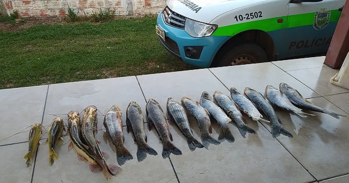 PMA  autua pescador por capturar pescado acima da cota permitida