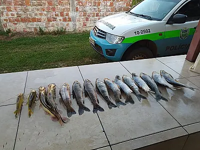PMA  autua pescador por capturar pescado acima da cota permitida