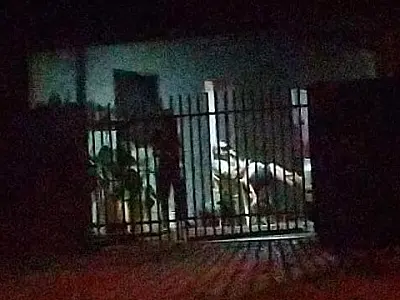 Foragido desde 2001 por homicídio em festa de 15 anos é preso em ação conjunta