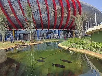 Grupo Cataratas anuncia desistência e Governo assume gestão temporária do Aquário do Pantanal
