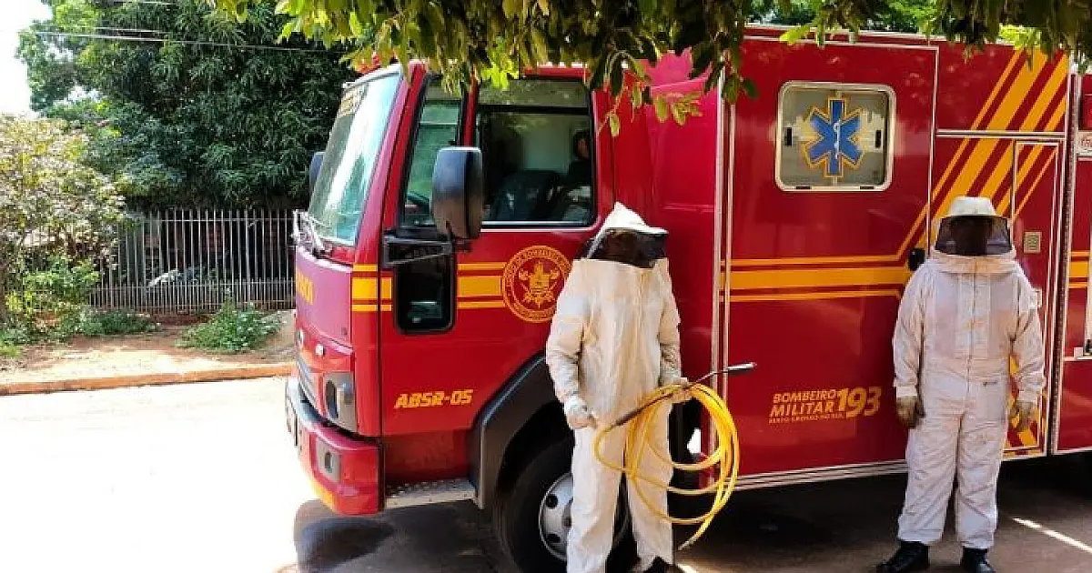 Bombeiros orientam como evitar ataque de abelhas
