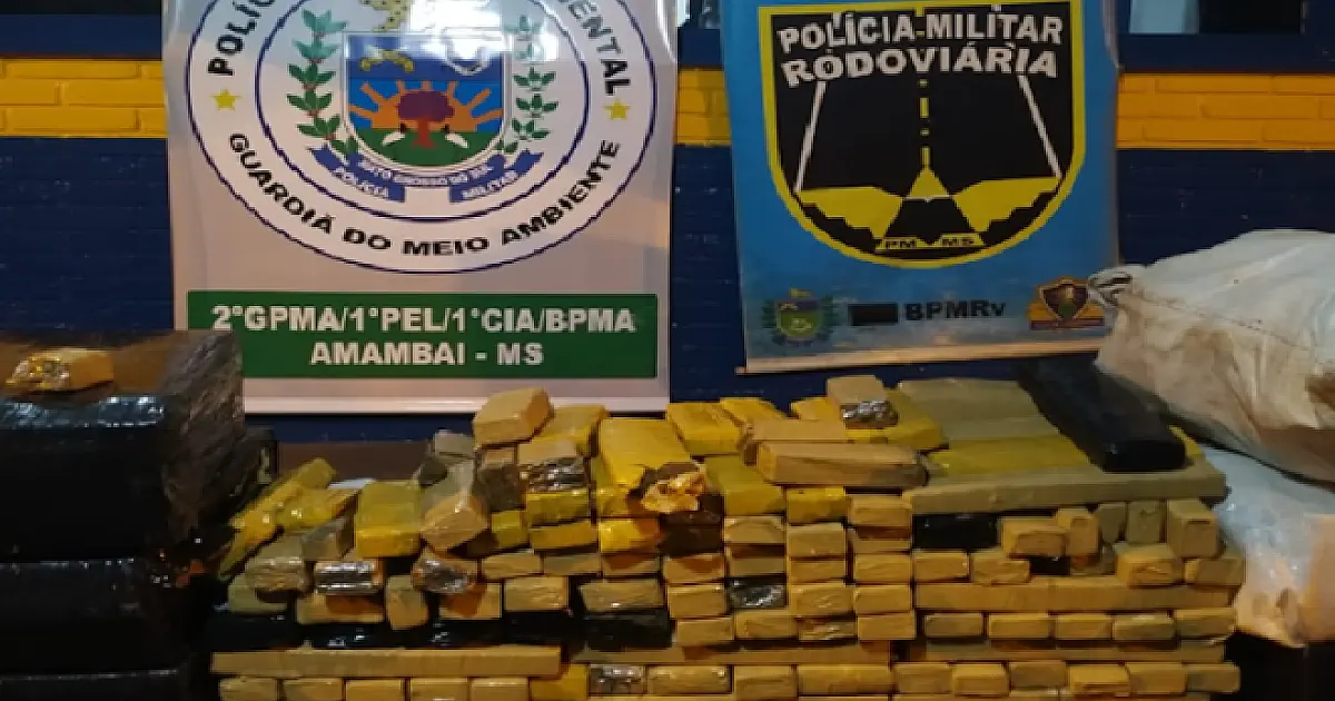 Ação conjunta apreende 260 Kg de maconha na rodovia MS 156