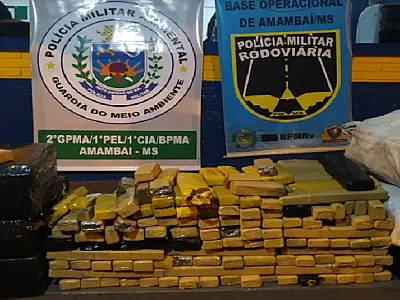 Ação conjunta apreende 260 Kg de maconha na rodovia MS 156