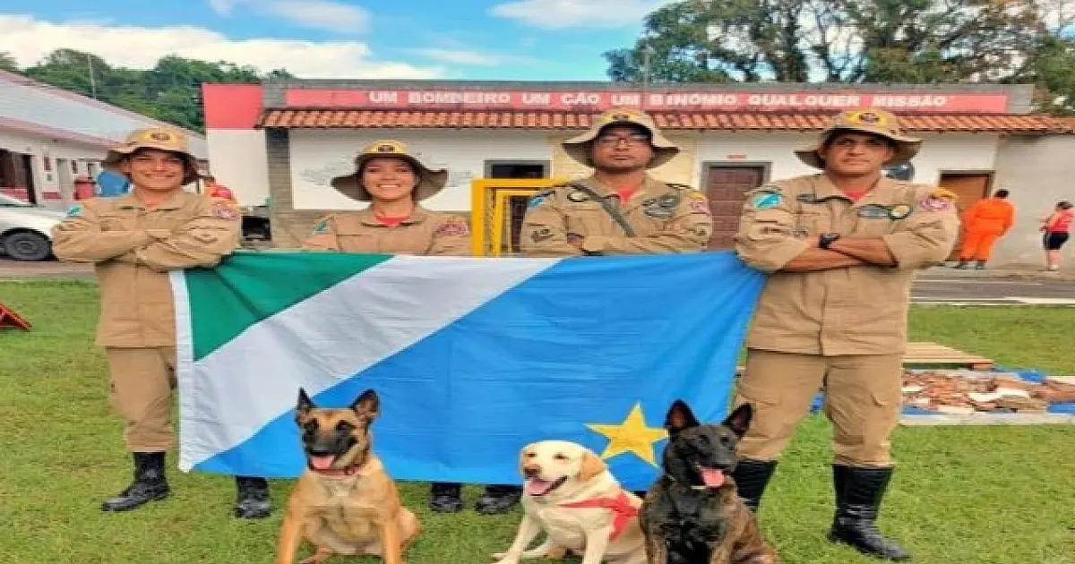 Cães do Corpo de Bombeiros de MS ajudam no resgate de vítimas em Petrópolis-RJ