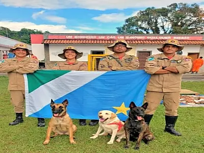 Cães do Corpo de Bombeiros de MS ajudam no resgate de vítimas em Petrópolis-RJ