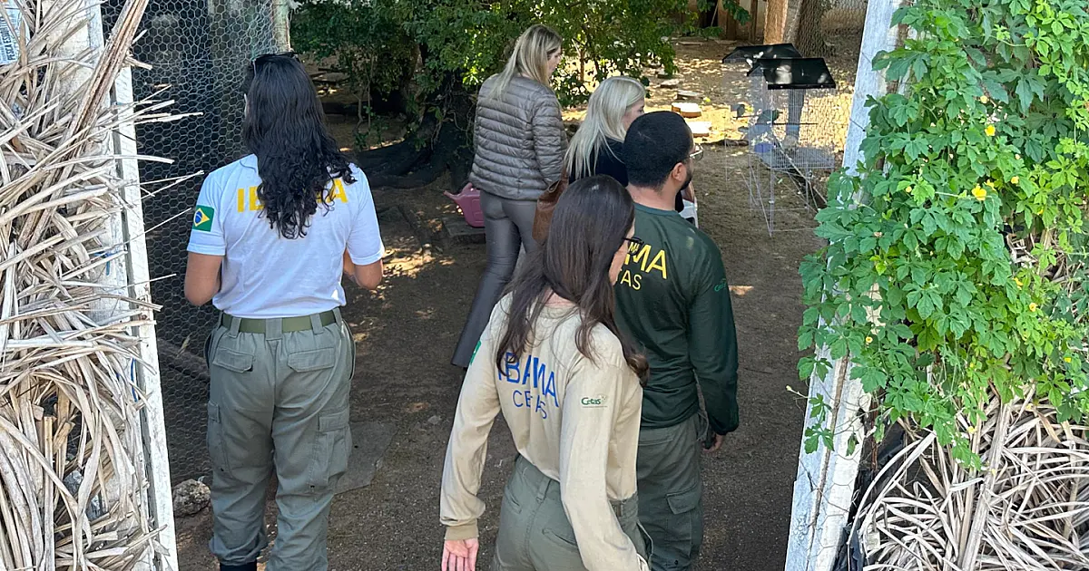 Técnicos do Ibama de Brasília visitam Centro Emergencial de Reabilitação aos Animais Silvestres