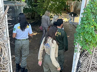 Técnicos do Ibama de Brasília visitam Centro Emergencial de Reabilitação aos Animais Silvestres