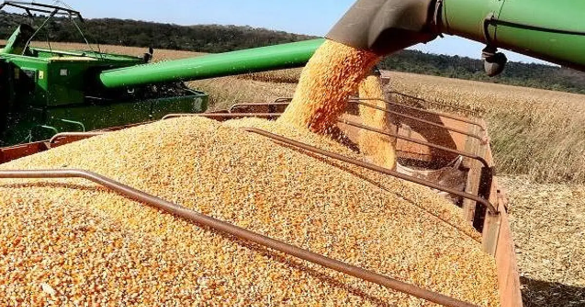 Exportações de Mato Grosso do Sul crescem 22% no primeiro quadrimestre do ano