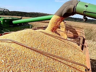 Exportações de Mato Grosso do Sul crescem 22% no primeiro quadrimestre do ano