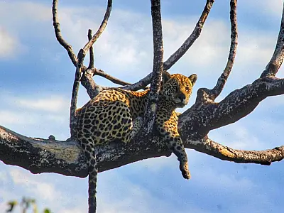 Pantanal ganha espaço em encontro nacional sobre clima e conservação