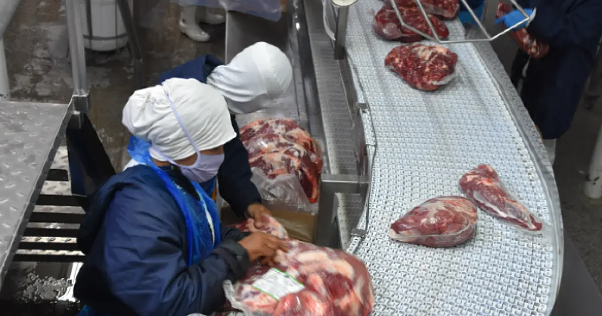 Exportação de industrializados alcança a maior receita no mês de fevereiro em toda série histórica