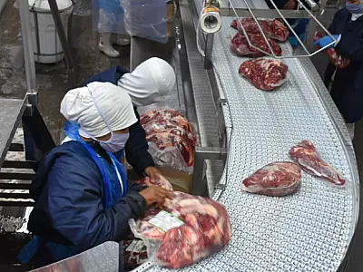 Exportação de industrializados alcança a maior receita no mês de fevereiro em toda série histórica