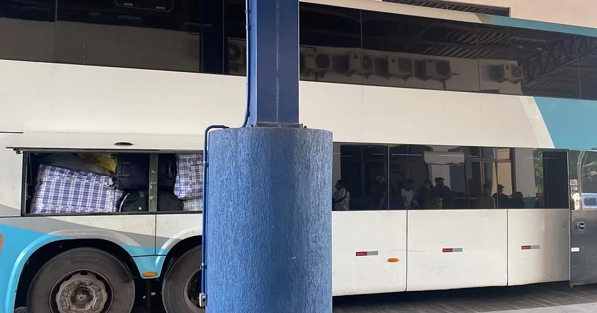 Boliviano é flagrado com carga irregular de roupas, alimentos e Ilhamas empalhadas