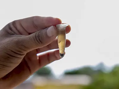 Casos de dengue tipo 3 são registrados em 15 municípios de MS