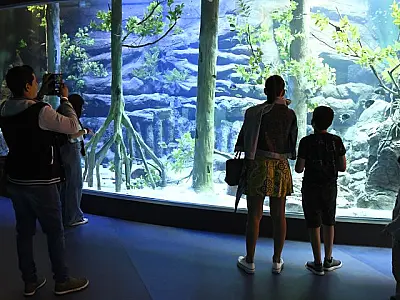 Fechado para manutenção, Bioparque Pantanal reabre dia 9 de janeiro