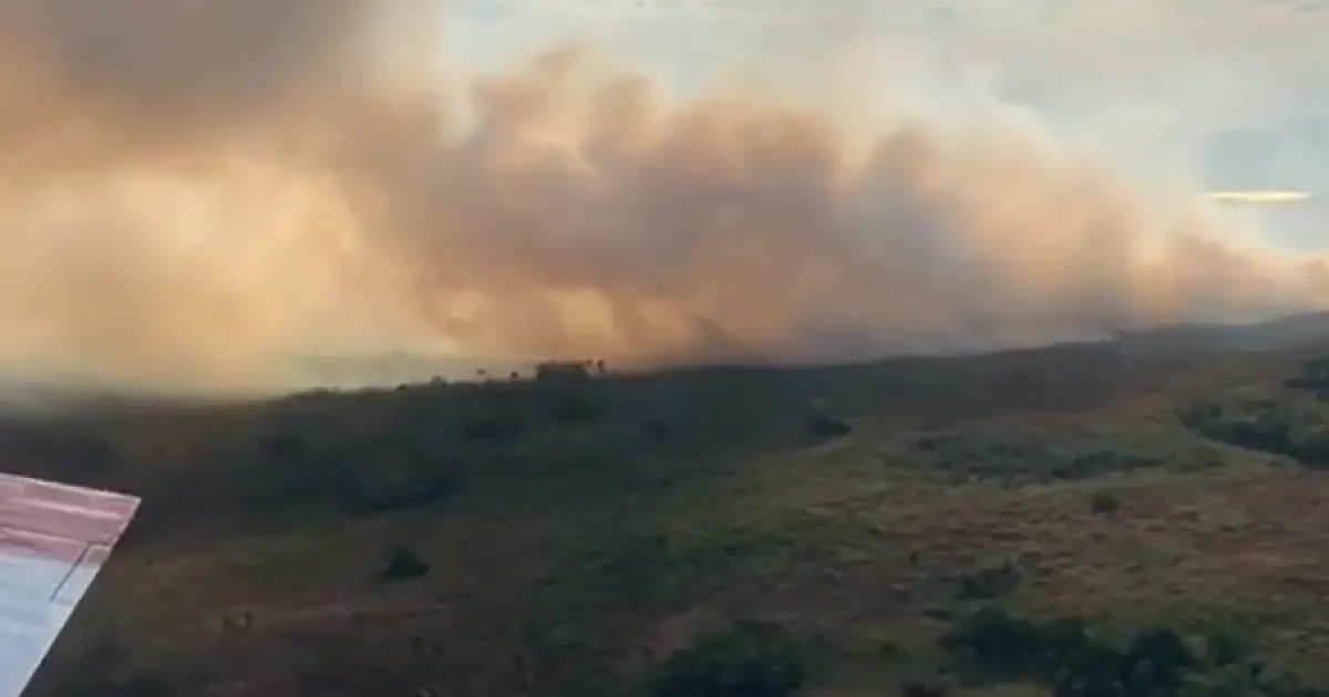 Bombeiros combatem queimadas no Pantanal