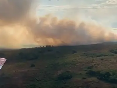 Bombeiros combatem queimadas no Pantanal