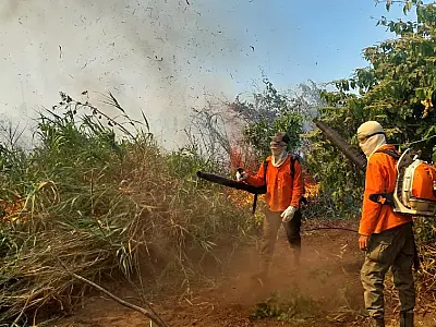 Operação mantém combate em três regiões e monitoramento em outros 10