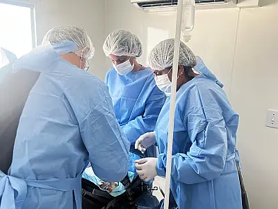 Mais de 1.400 cães e gatos já foram inscritos para castração gratuita em Corumbá