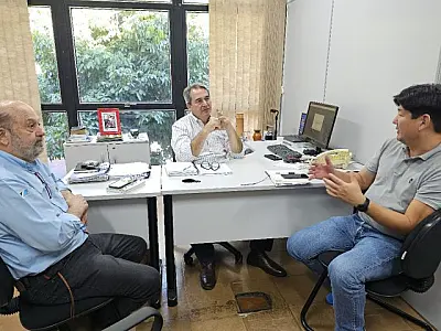 Mato Grosso do Sul pode se tornar um dos maiores produtores de ovos do País