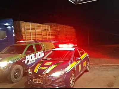 Operação Padroeira da PMA apreendeu pescado, embarcações, madeiras e armas