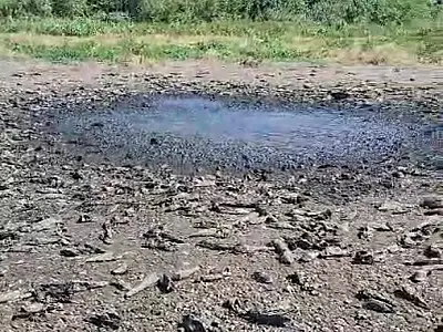 Falta de chuva seca baía e mata peixes em Porto Amolar