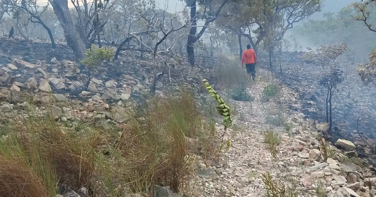 STF determina plano de combate a incêndios no Pantanal e na Amazônia