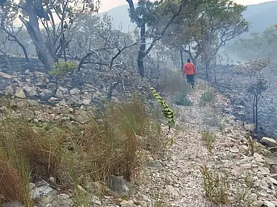 STF determina plano de combate a incêndios no Pantanal e na Amazônia