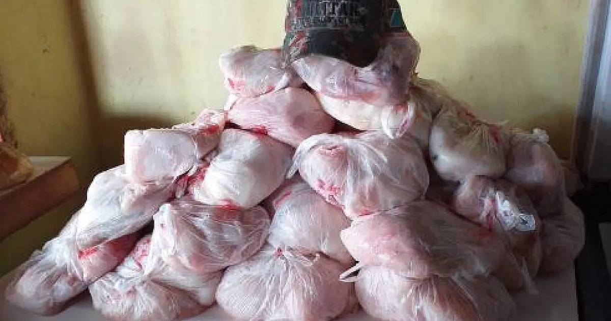 Dono de bar é multado por vender carne de Jacaré ilegal em Corumbá