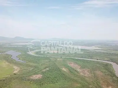 Governador afirma que apresentará projeto de lei para preservar o Pantanal