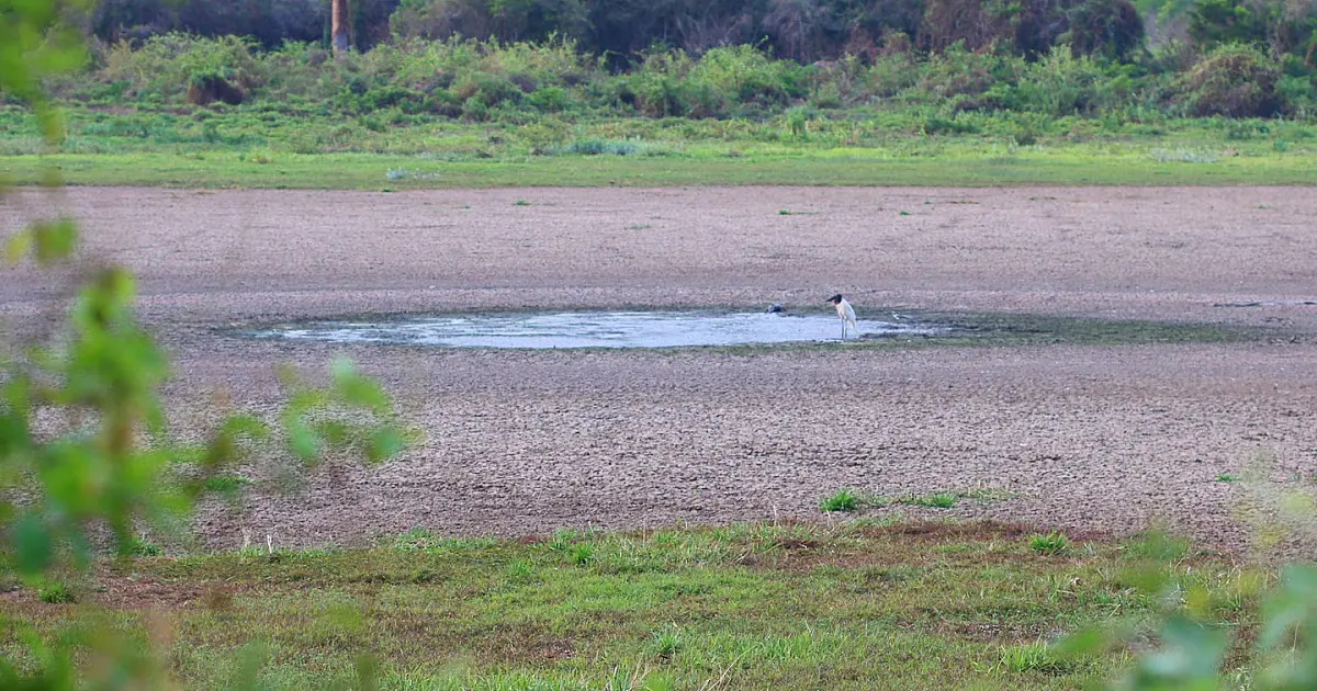 Mesmo após chuvas, cotas seguem abaixo da média na Bacia do Rio Paraguai