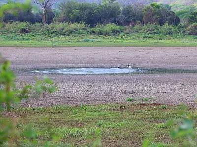Mesmo após chuvas, cotas seguem abaixo da média na Bacia do Rio Paraguai