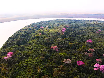 Governo define data para pagar quem ajuda a conservar o Pantanal