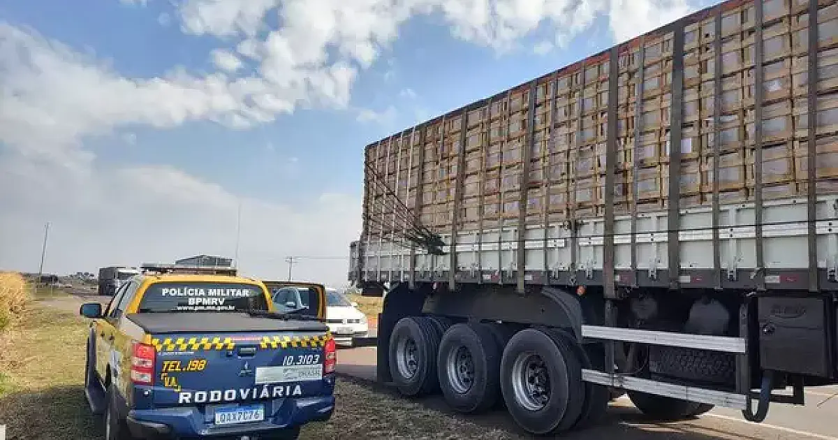 Dupla é presa com R$ 900 mil de maconha em carga de bananas