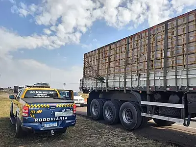 Dupla é presa com R$ 900 mil de maconha em carga de bananas