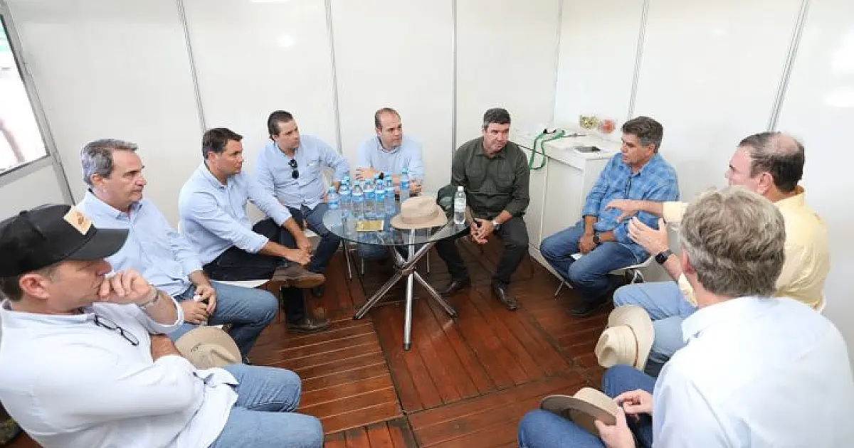 Governo discute decreto de emergência da gripe aviária com autoridades e lideranças rurais