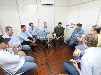Governo discute decreto de emergência da gripe aviária com autoridades e lideranças rurais