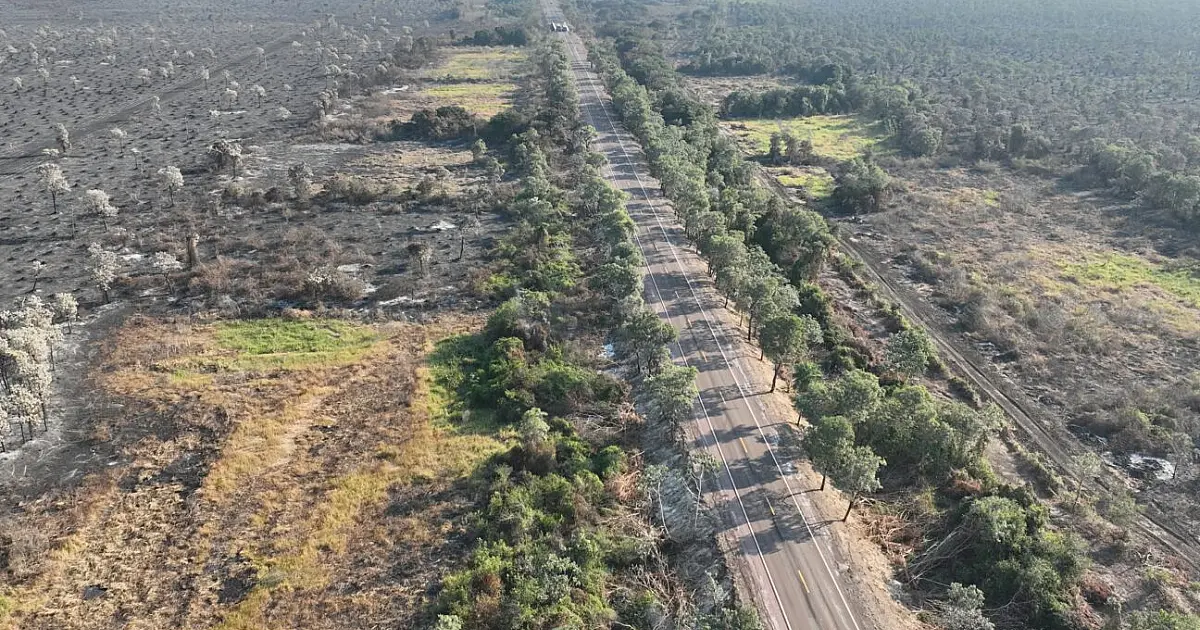 MP aponta sete fazendas como locais de início de parte dos incêndios no Pantanal