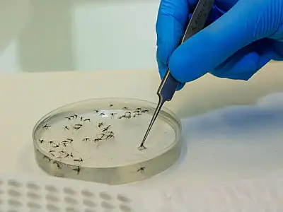 Saúde registra 1&ordm; caso de febre oropouche no Estado