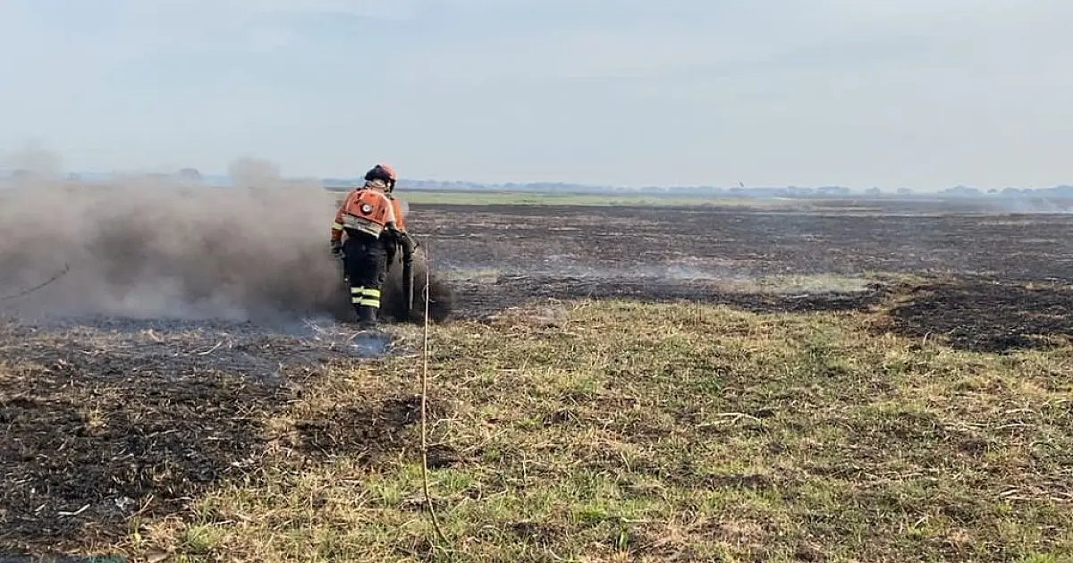 Bombeiros atuam conta 12 incêndios identificados no Pantanal